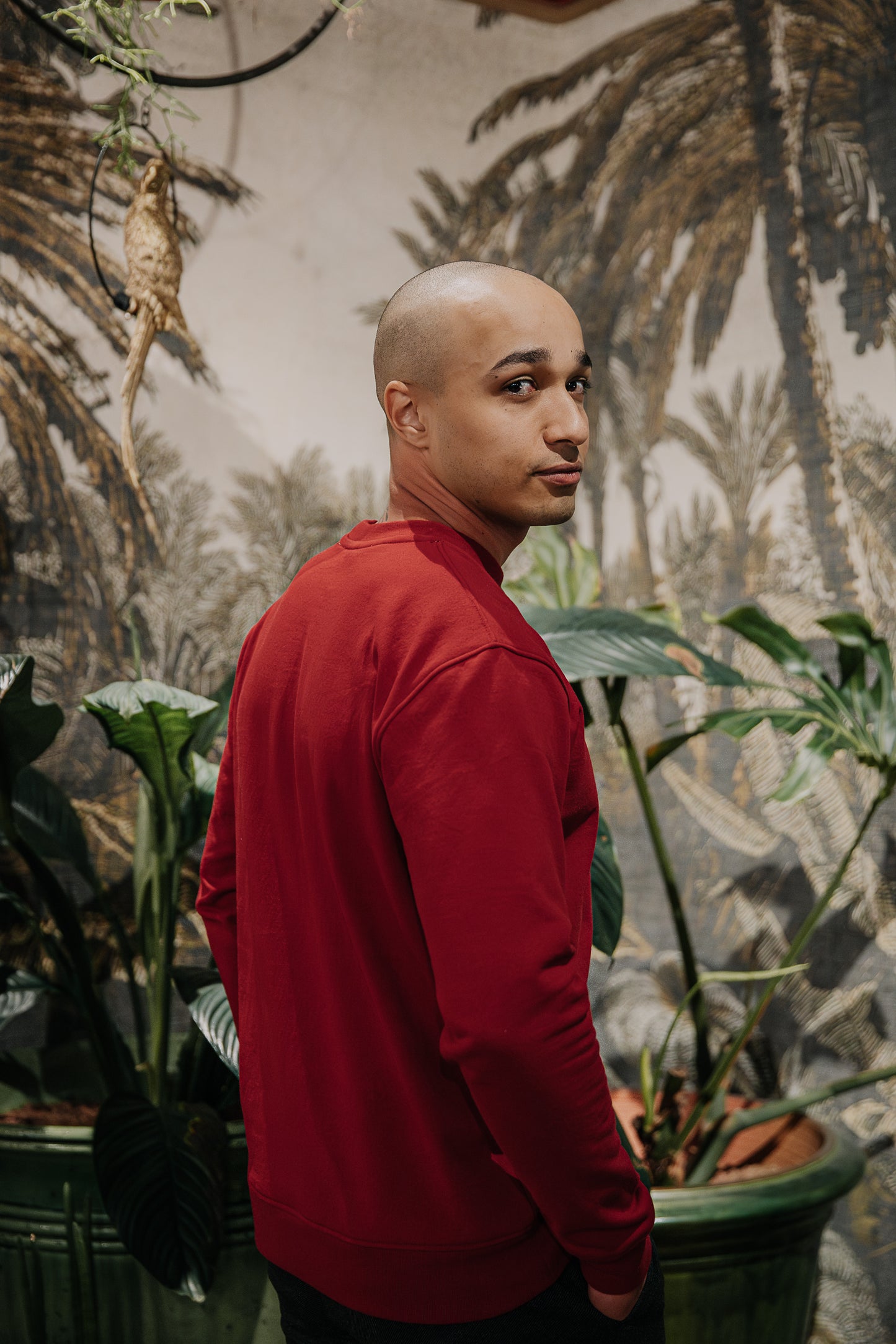 pull rouge pour homme