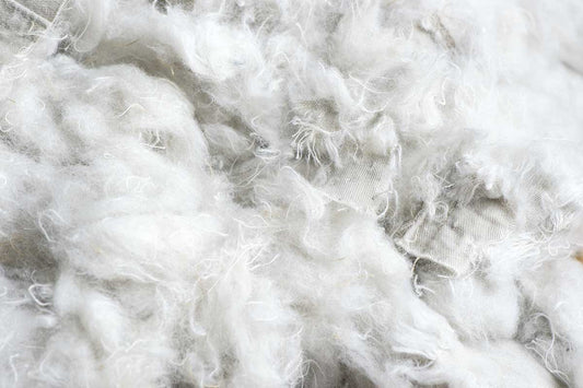 coton recyclé fibres