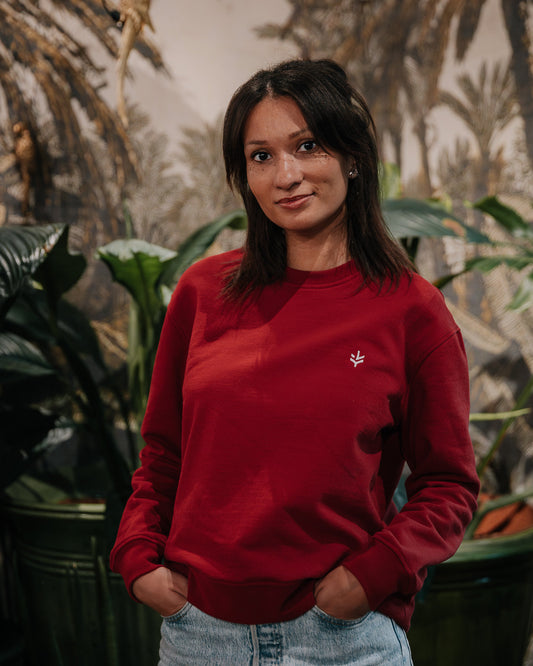 Pull rouge écologique pour femme